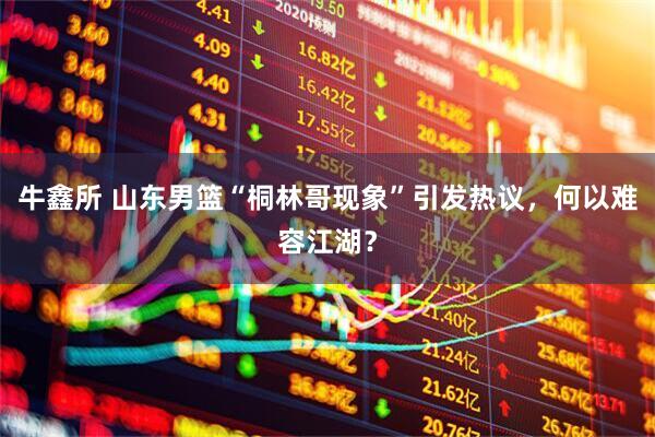牛鑫所 山东男篮“桐林哥现象”引发热议，何以难容江湖？