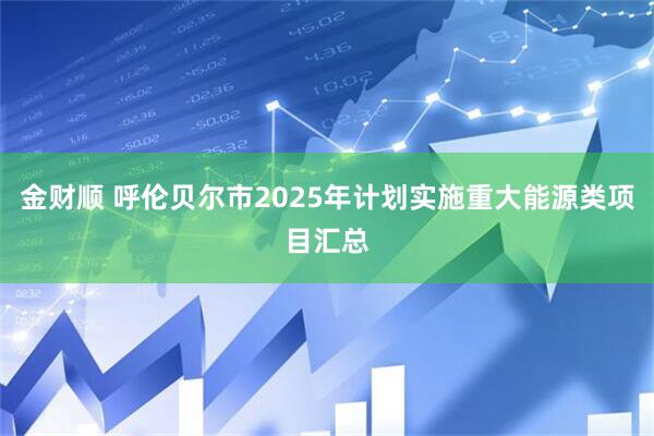 金财顺 呼伦贝尔市2025年计划实施重大能源类项目汇总