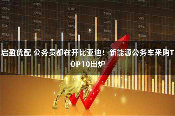 启盈优配 公务员都在开比亚迪！新能源公务车采购TOP10出炉